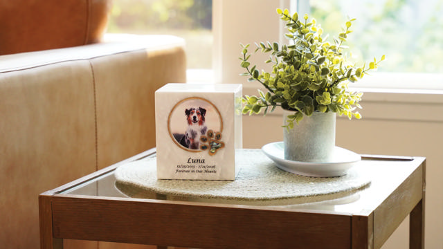 white marble pet urn with a photo of a dog and the name 
