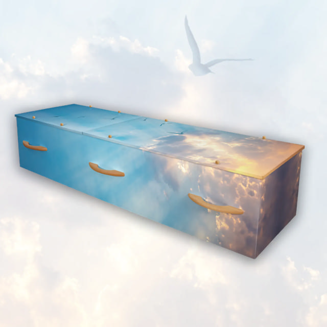 Soaring Sky