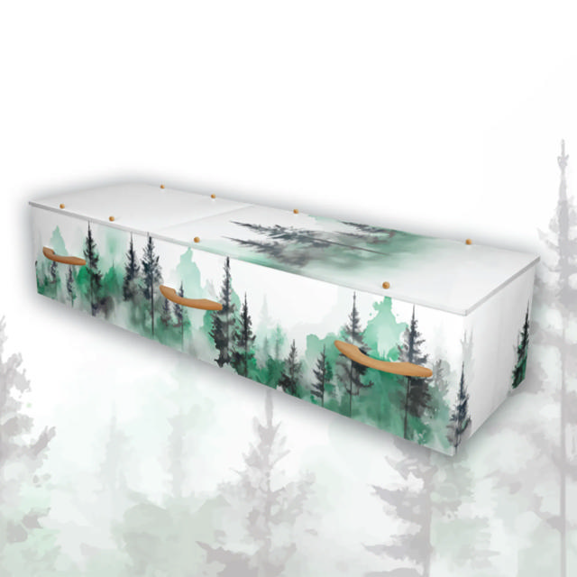 Tranquil Forest