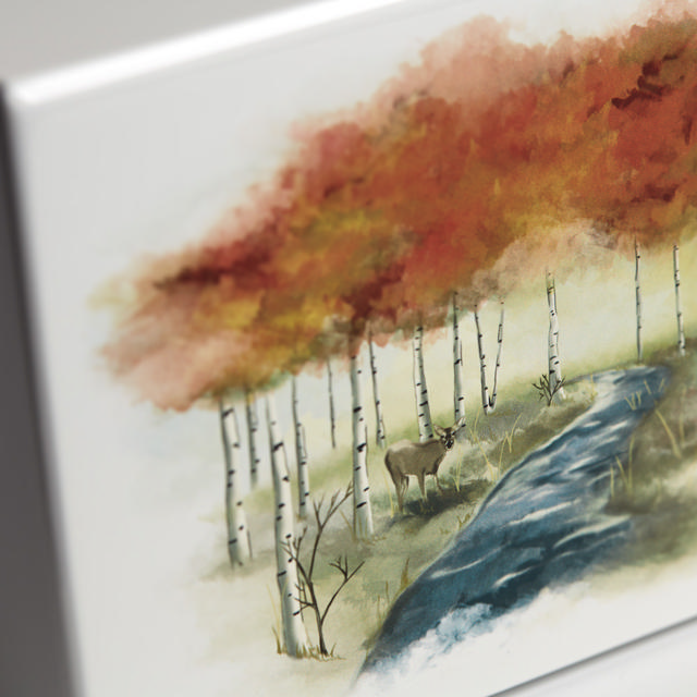 Somerset Autumn Forest