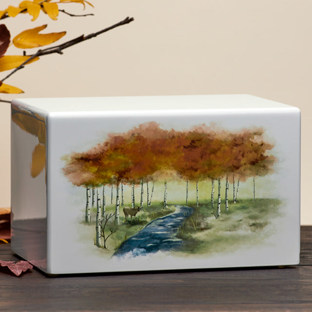 Somerset Autumn Forest