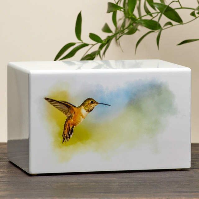 Somerset Hummingbird
