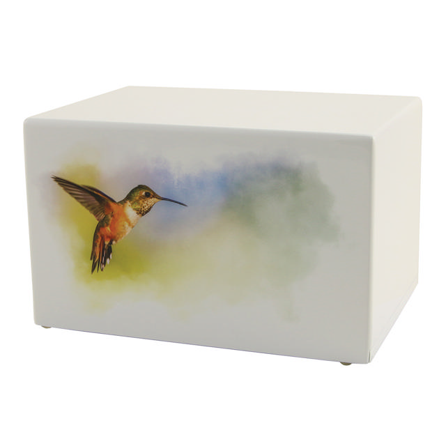 Somerset Hummingbird