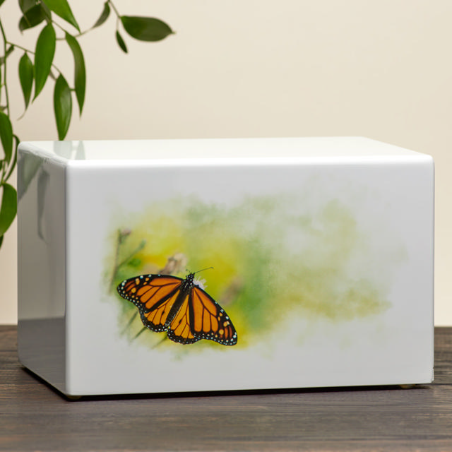 Somerset Butterfly