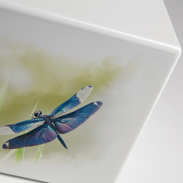 Somerset Dragonfly