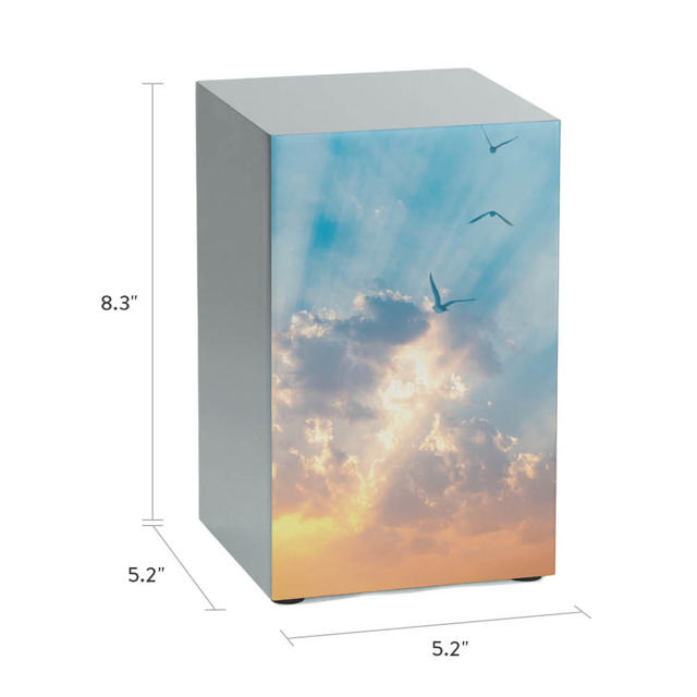 Life Canvas Soaring Sky, Pewter