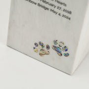DETAIL4583