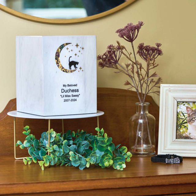 Monumental Memorials Pet Cat Moon Pink Inlay, White