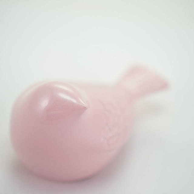 Songbird Pink