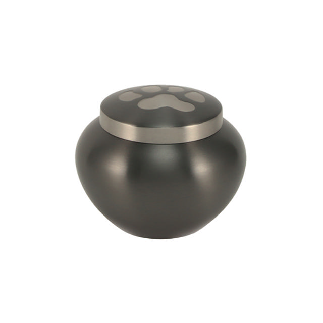 Odyssey® Slate, Petite