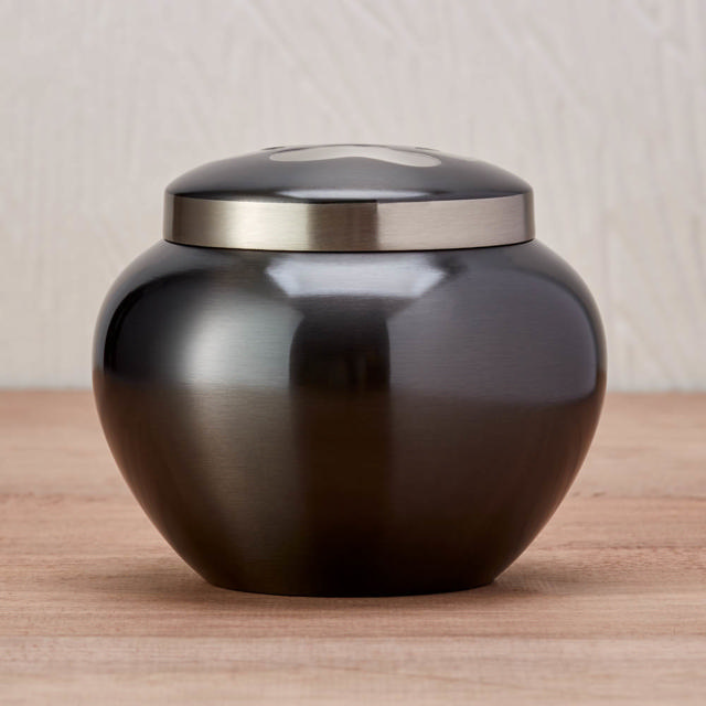 Odyssey® Slate, Extra Small