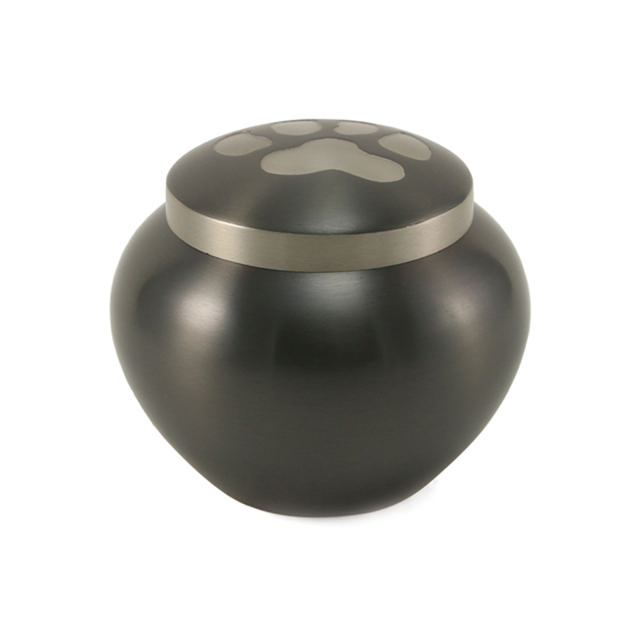 Odyssey® Slate, Extra Small