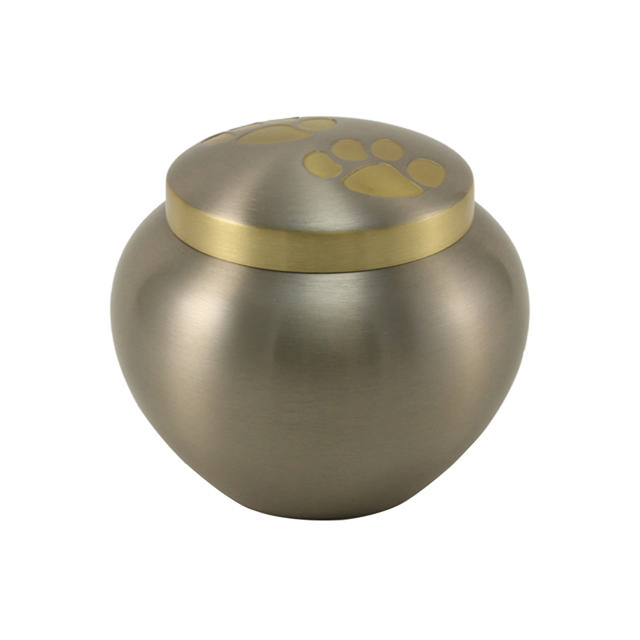 Odyssey® Pewter, Extra Small