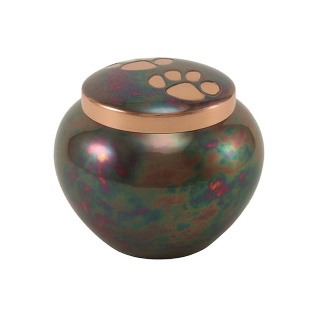 Odyssey® Raku, Extra Small