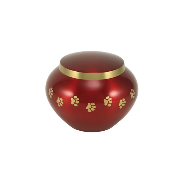 Odyssey® Crimson, Petite