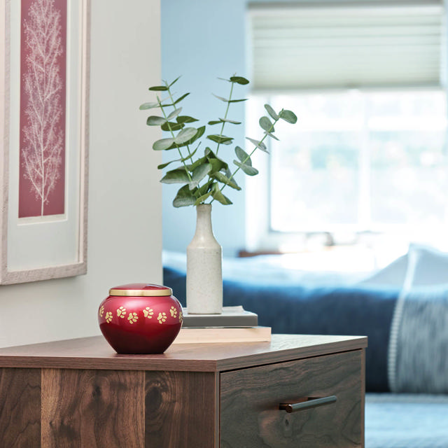 Odyssey® Crimson Extra Small
