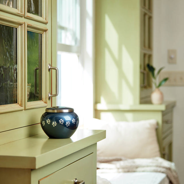 Odyssey® Moonlight, Extra Small