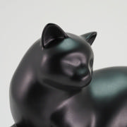 DETAIL5426