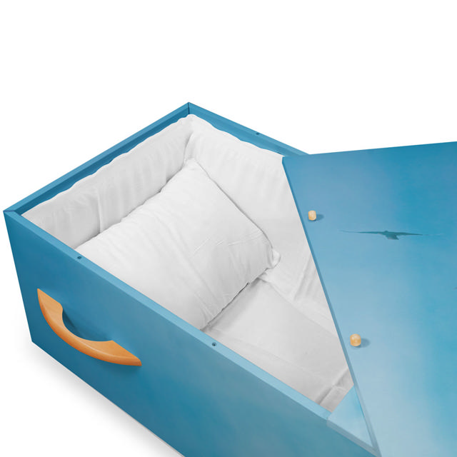 LifeArt Soaring Sky Cremation Container