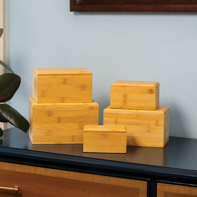 Bamboo Box, Medium Urn - Case of 8