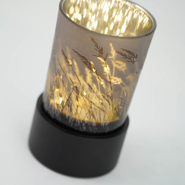 Illuminate Prairie