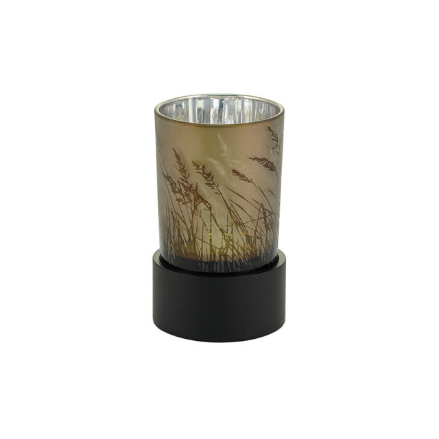 Illuminate Prairie