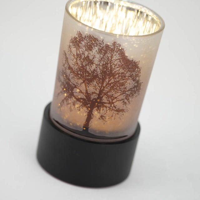Illuminate Tree of Life