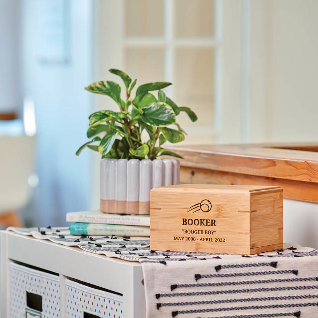Bamboo Box, Petite Urn