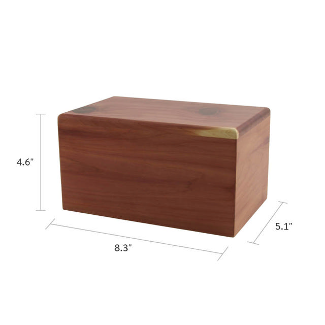 Cedar Box, Medium - Case of 8