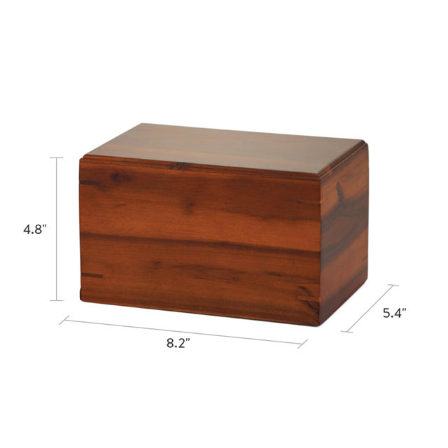 Acacia Box, Medium - Case of 8