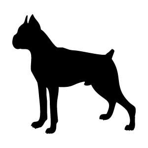 Boxer