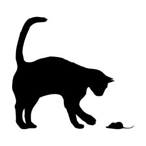 Cat & Mouse