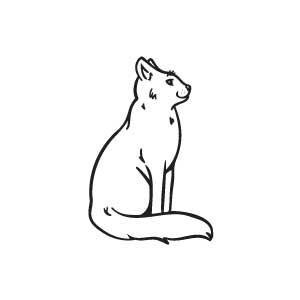 Sassy Cat
