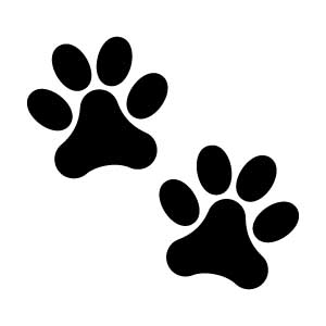 Double Paw