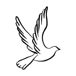 Dove
