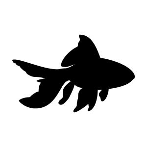 Goldfish