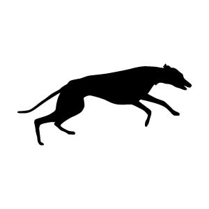 Greyhound