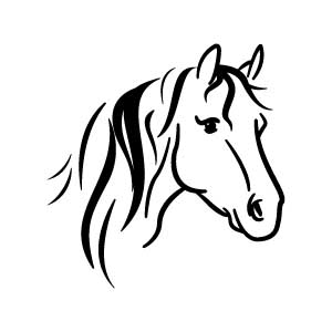 Horse Bust
