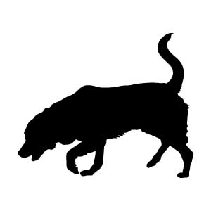 Lab