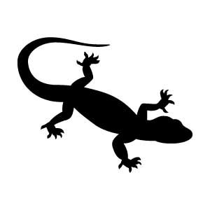 Lizard
