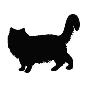 Long-haired Cat