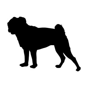 Pug