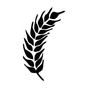 Wheat